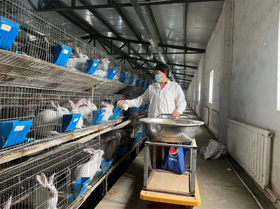 新疆焉耆 实验动物养殖开创农村产业发展新路径