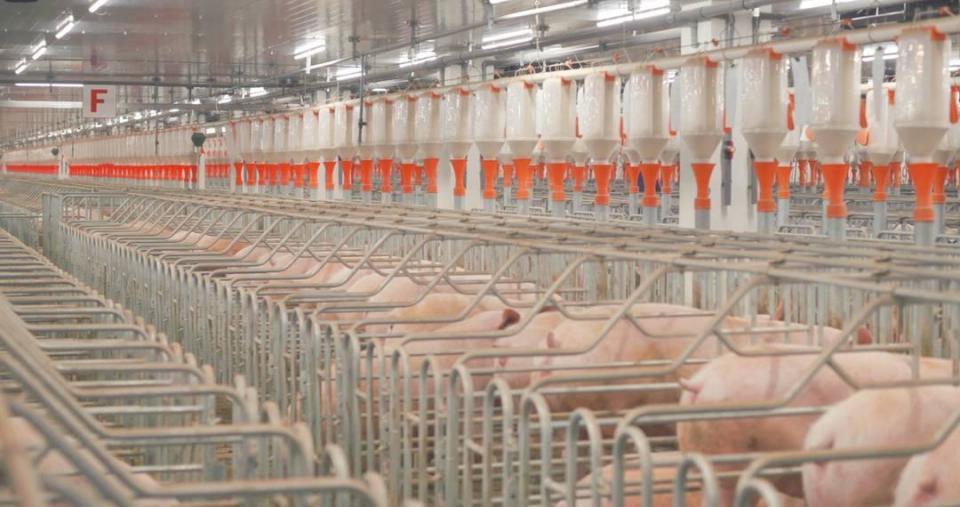 新希望集团董事长刘永好 从华西都市报到封面新闻，变革与创新的精神延续