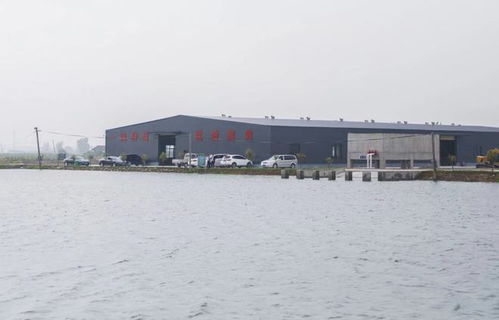 方正赴贵池区调研春耕备耕与特色农产品产销工作