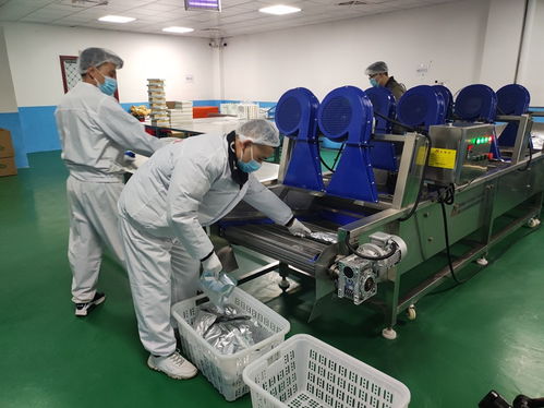 珠遵携手牛羊出山，习水特色养殖业谱写东西部协作新篇章