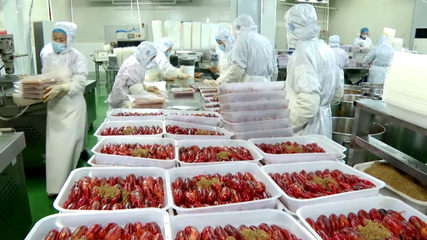 江苏盱眙 龙虾节里品百年新篇，养殖销售共绘富民画卷