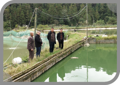荔波多措并举扎实推进水产养殖病害监测工作 保障养殖与销售健康发展