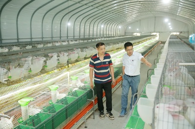 乡村振兴 两位书记的养殖与销售办“法”